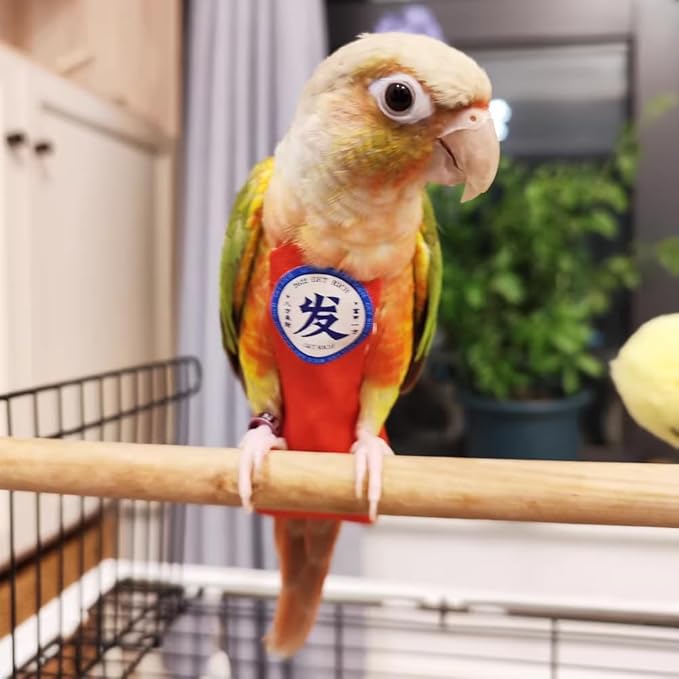 MANON ROSA Bird Diapers Leash Set Washable Reusable Handmade Flight Suit Waterproof Inner Layer - Protective Parrot Nappy Clothes Parakeets Macaws Budgies Canaries (Yellow3,Cockatiel)