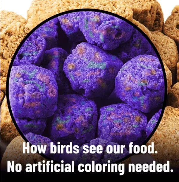 Harrison's Bird Foods Nuggies Treats - A Revolutionary High Potency Nuggets Treat Designed to Support Bird Health and Diet Transitions, 196g