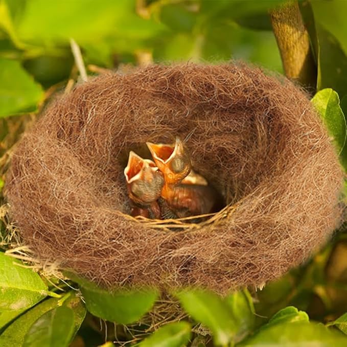 CREATCABIN Coconut Fiber for Bird Nests Bird Nesting Material Canary Nesting Material Coconut Bird Nest Finch Loose Bedding Substrate for Cage Gardens Tree Trunks Budgie Hummingbird 100g(3.5oz)