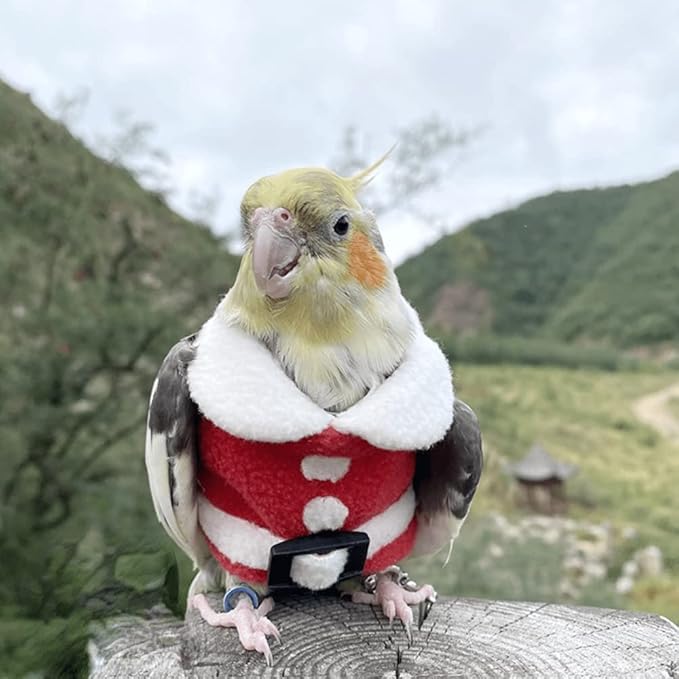 Bird Clothes Birds Flight Suit, Christmas Hoodie for Parrots Cockatiel Sun Conure Christmas Party Cosplay Photo Prop Bird Shirt Small Animals Apparel (B,Cockatiel)