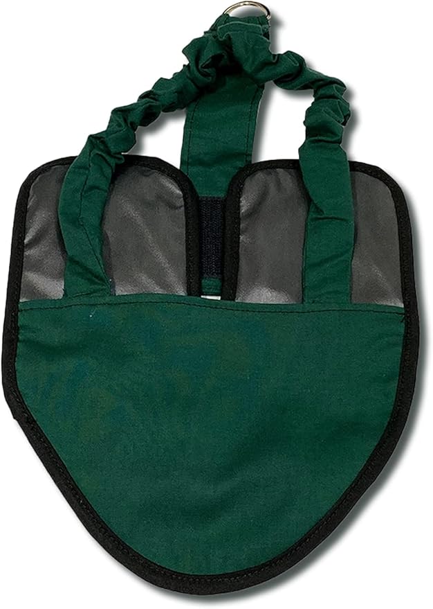 Hen Holster Premium Starter Kit - Bird Diaper, Wrap Around for Hens, Roosters, Ducks - Leak-Proof, Comfortable Bird Harness with Sewn-in Liner, Secure Hook & Loop Closure - XL, Green