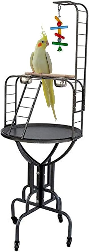 Elegant Design and Strong Wrought Iron Parrot Cockatiel Cockatoo Bird Play Gym Ground Rolling Stand with Metal Pan & Climbing Ladder