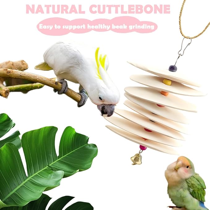 DQITJ 2 Pack Bird Cuttlebone Calcium Supplement Chewing Toy Beak Grinding Stone Natural Bird Toy with Bell for Parakeet Cockatiel Budgie Conure Sharp Beaks (8 Pcs in a Bunch)
