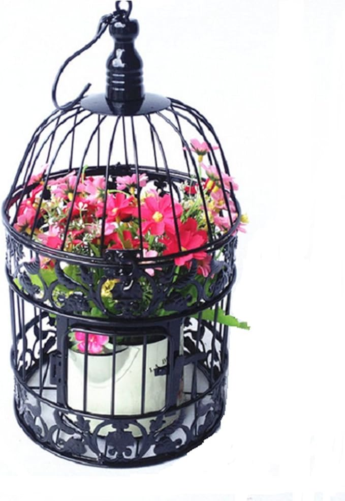PET SHOW Round Birdcages Wedding Gift Cards Holder Metal Wall Hanging Bird Cage for Small Birds Party Indoor Ourdoor Decoration 10.6“ Black Pack of 1