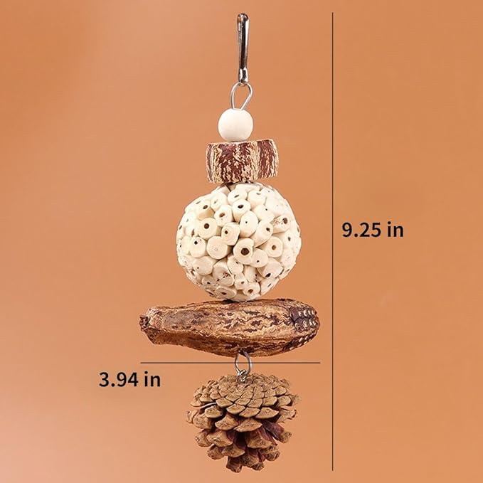 Bird Chew Toy for Pet Bird Parrot Sola Ball Natural Nuts Pinecone Chewing Toy for Small Parakeet Cockatiel Conures Finch Budgie (S)