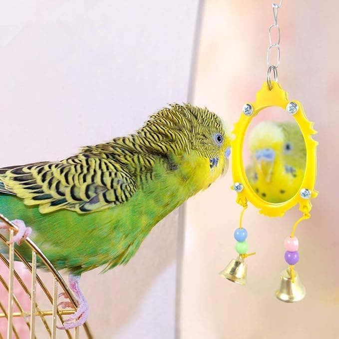 Bird Mirror Toy with Bell Swing Hanging Ringer Leather Mirror Toy Parrot Cage Accessories Decoration for Small and Medium Parakeet Cockatiel Finch Lovebird Conure Budgie Cockatoo African Grey (B)