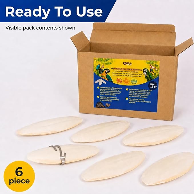 Birds LOVE 7.5-8" Cuttlebone for Birds – 100% Natural Sun-Dried Calcium Carbonate Mineral Supplement – for Parakeets, Budgies, Cockatiels, Finches & Canaries – 6 Pack with Holder – Made in Vietnam