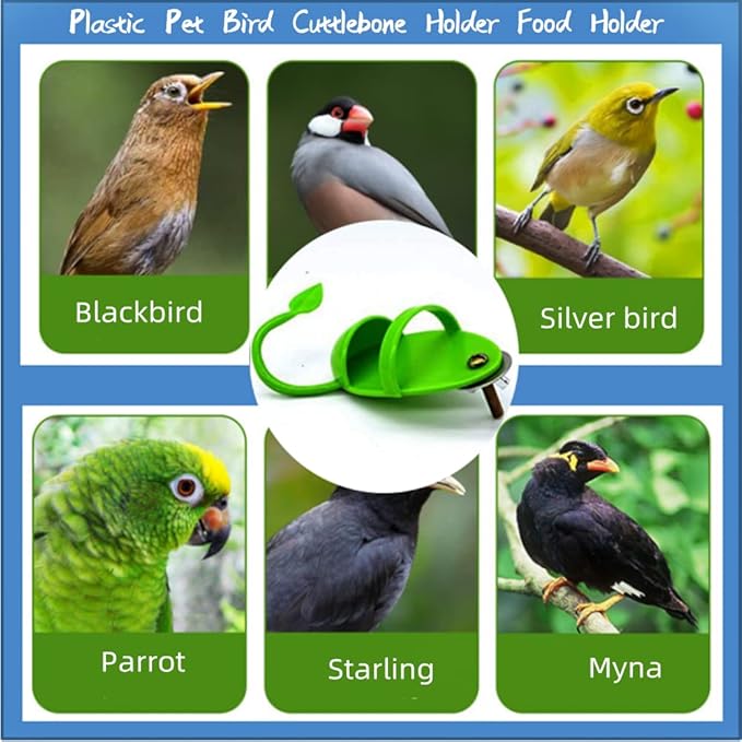 2pcs Bird Feeding Cup Rack Plastic Cuttlebone Holder,Bird Food Holder, Plastic Pet Supplies Fruit Vegetable Storage Stands