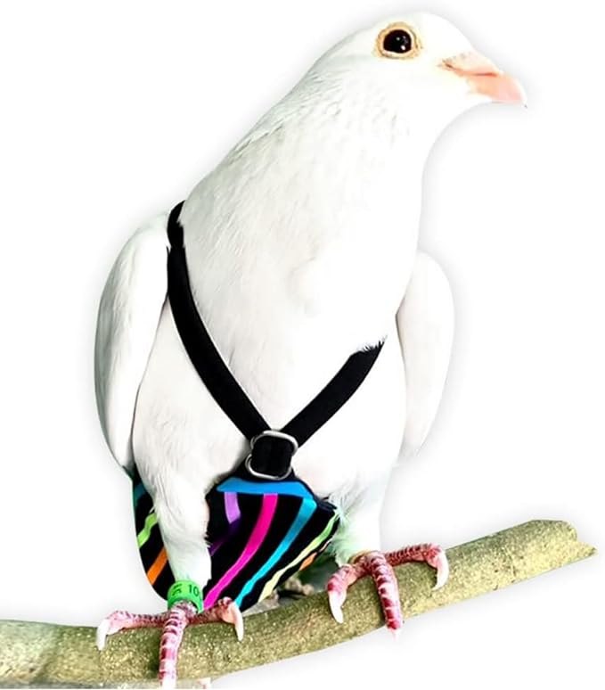FLYPER Adjustable Mini Bird Diaper | Reusable, Washable Cloth | Comfort Fit for Parrots, Cockatiels, and Other Small Birds | Fashionable Avian Accessories Butterfly, Candy Stripe, Mini Size 5