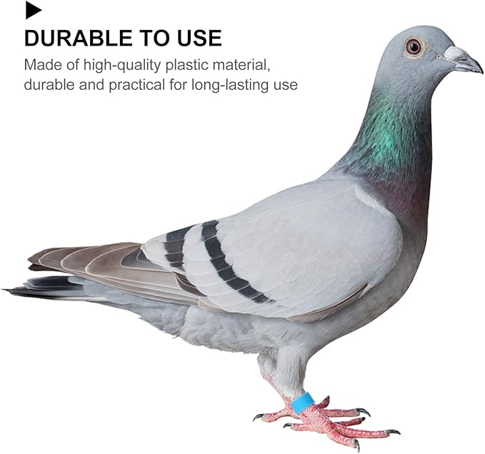 EXCEART Birdies Pigeon Foot Ring 100Pcs Plastic Bird Leg Band Rings Multi-Color Leg Rings Bird Clips Ankle Band Racing Pigeon Bands for Pigeon Dove Chicks Bantam