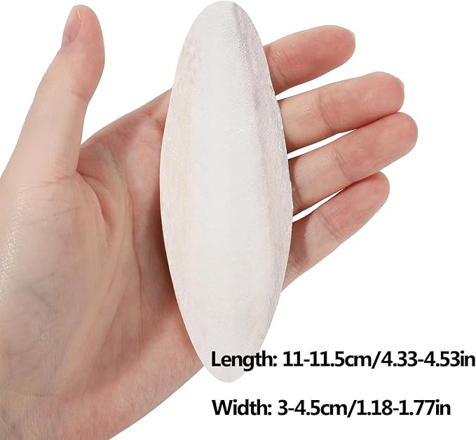 6 Pcs Natural Cuttlebone for Birds Parakeets Pure Cuttlebone Calcium Stone for Parakeets Canaries Cockatiels Tortoise Turtles Cockatiel 11-11.5cm /4.3-4.5”