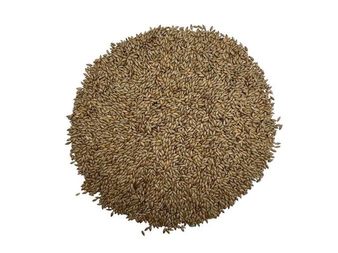 Canary Seeds – 10LB Natural Grain for Human Consumption