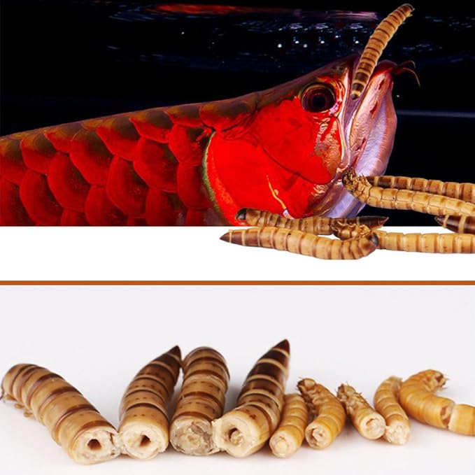 Fresh Dried Mealworms Bulk High-Protein Mealworms Treats for Reptile, Bird, Chicken, Fish Food (420g)