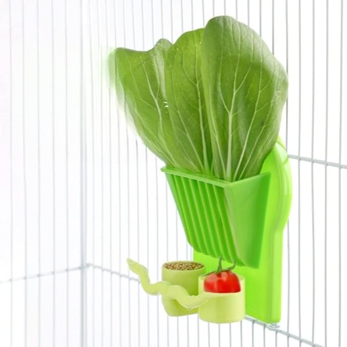 Bird Parrot Feeder Cage Fruit Vegetable Holder Vegetable Rack Pet Food Hanging Feeder Parrot Fruit Hanging Containers for Cage