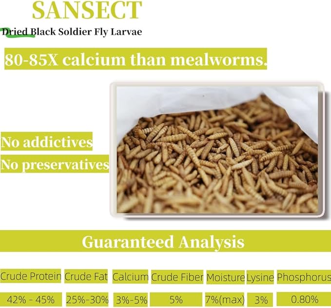 SANSECT Dried Black Soldier Fly Larvae 10LB, High Calcium Chicken Feed – 85X More Calcium, Non-GMO Treats for Chickens, Laying Hens, Ducks, Turkeys, Wild Birds, Turtles