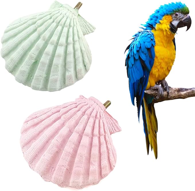 Parrot Perch Stand - 2PCs Shell Shape Squirrel Hamster Teeth Mouth Molar Grinding Stone Parrot Beak Stone Stand Platform