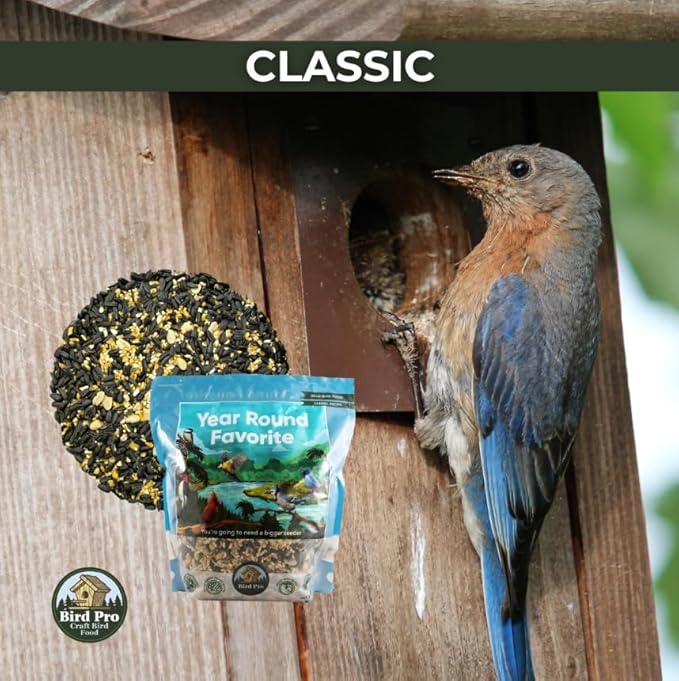 Bird Pro Classic Bird Seed (40 Pounds, Year Round Favorite)