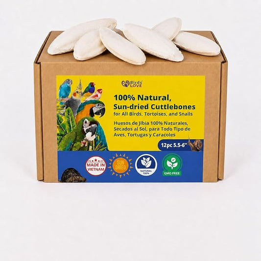 Birds LOVE 5.5-6″ Cuttlebone for Birds – 100% Natural Sun-Dried Calcium & Beak Conditioning Supplement for Parakeets, Budgies, Cockatiels, Finches & Canaries – 12 Pack with Holder – Made in Vietnam
