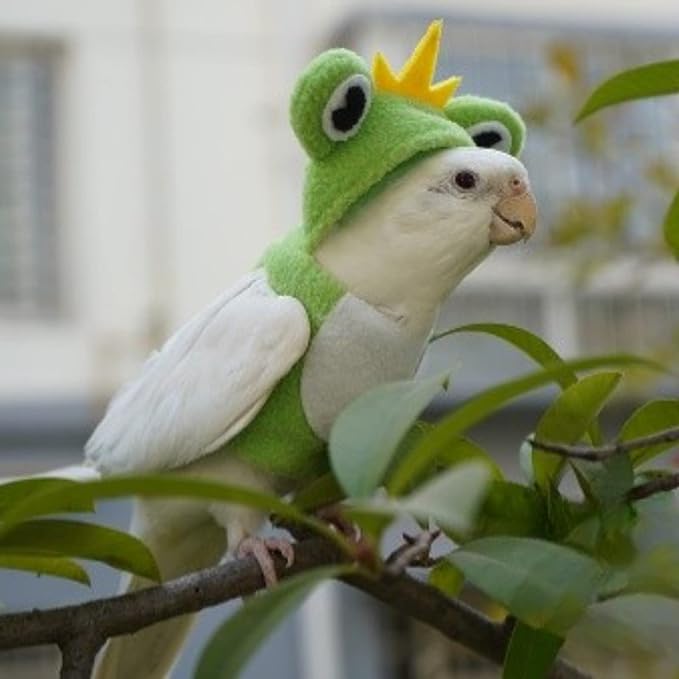 Bird Clothes Cosplay Photo Prop Frog Shape Hoodie, Bird Diaper Flight Suit, Small Animal Apparel for Parrots, Parakeet, Cockatiel, Sun Conure - Green, Small