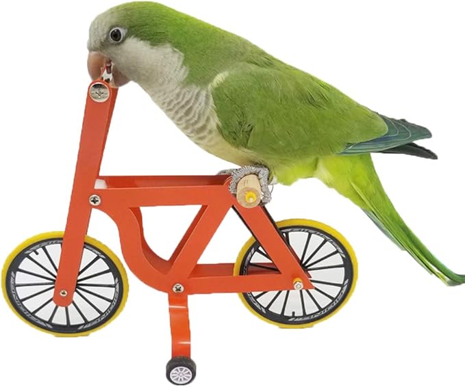 QBLEEV Bird Intelligence Training Toy for Small Medium Birds - Parrot Puzzle Bicycle & Table Top Trick Prop - Foot Talon Toy for African Grey, Cockatoo & Conures