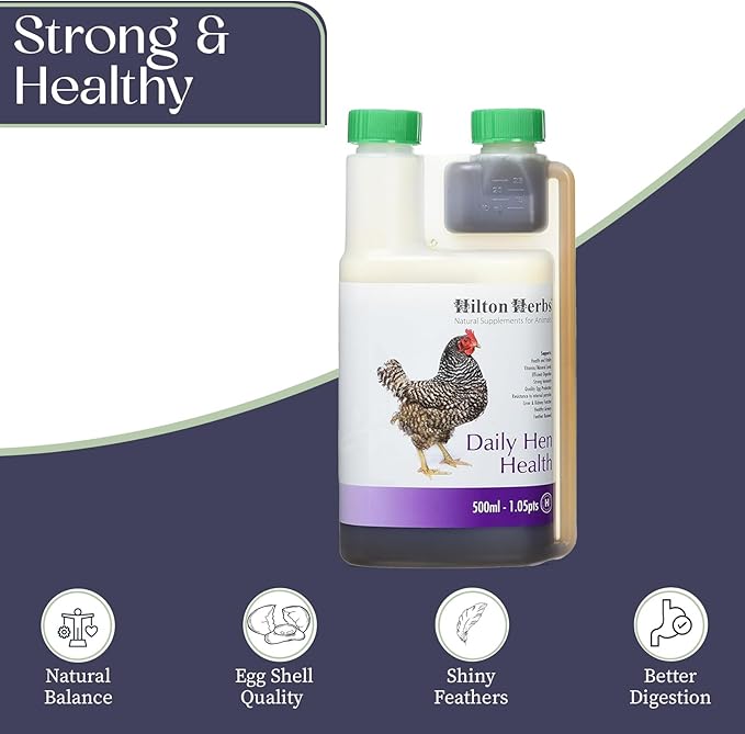 Hilton Herbs Daily Hen Health Herbal Health Supplement for Poultry & Birds, 1.05 pt ( 500ml) Bottle