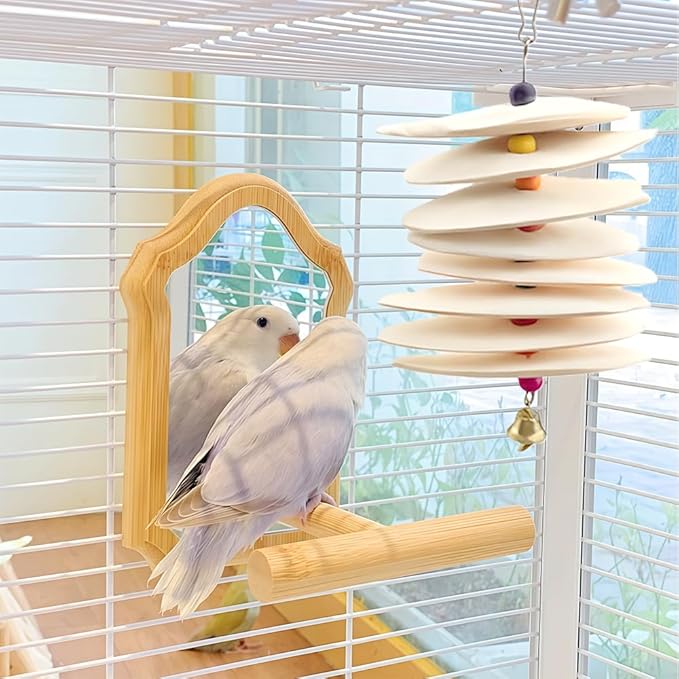 DQITJ 2 Pack Bird Cuttlebone Calcium Supplement Chewing Toy Beak Grinding Stone Natural Bird Toy with Bell for Parakeet Cockatiel Budgie Conure Sharp Beaks (8 Pcs in a Bunch)
