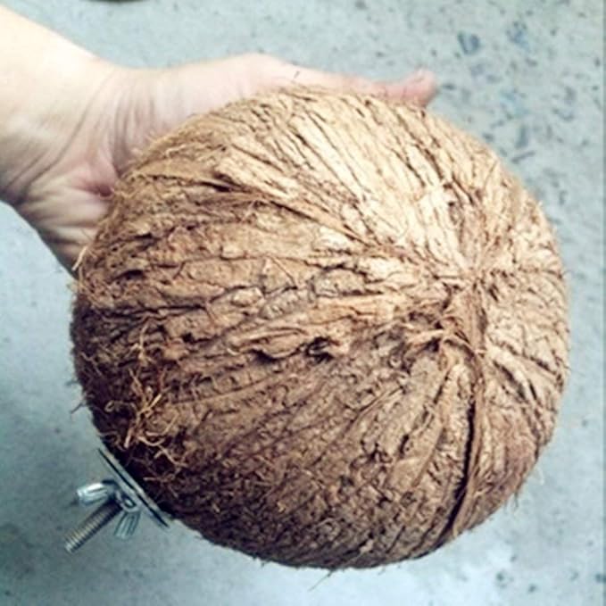 YJJKJ Pet Bird Natural Coconut Shell Bird House Parakeet Budgie Cockatiel Finch Sparrows Breeding Nesting Bird Aviary Cage Box Anti-Pecking Bite (Diameter:4.3")