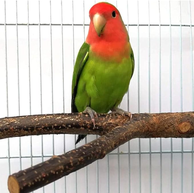 4 Pack Natural Wood Bird Perch Parrot Stand Branches Fork Toys,Pet Bird Cage Wooden Hanging Perch Platform Hammock Swing Toy for Small Parakeets,Budgies,Cockatiels,Conures,Finches