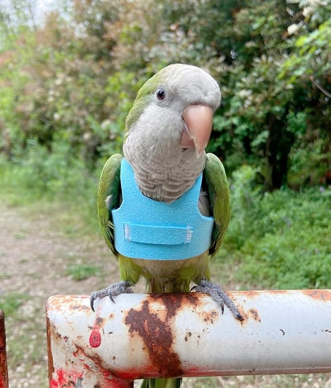 Bird Flight Harness Vest, Parrot Flight Suit with Leash for Parakeets Cockatiels Conures Budgies, Bird Flying Clothes with Rope and Handle for Outdoor Activities Training (3XL,Blue)