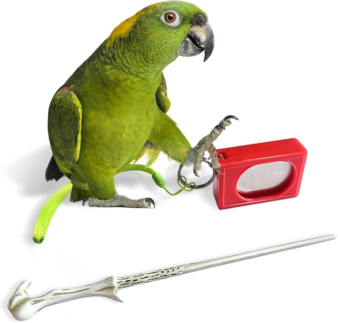 Parrot Training Clicker with Target Stick, Getting Started Bird Clicker Training Kit, All Bird Breeds Training Stick Foster Discipline and Behavior Training, for Parrots Birds Lovers