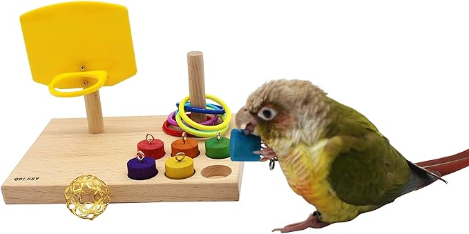 QBLEEV Bird Toys - Budgie & Parrot Training Toys, Color Ring Sets, Chew Ball & Play Gym