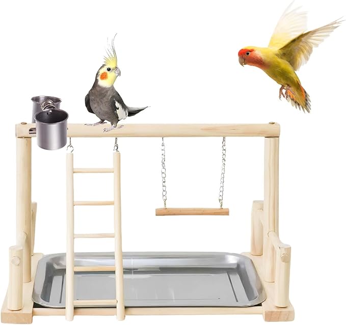 Bird Playground, Natural Wood Bird Perch Stand with Removable Tray and 2 Stainless Steel Feeder Cups, Parrot Playstand Bird Cage Toys for Conure Parakeet Cockatiel Parrot (B)