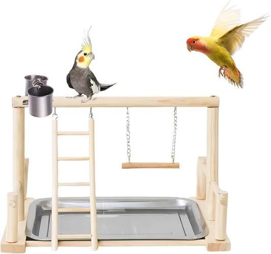 Bird Playground, Natural Wood Bird Perch Stand with Removable Tray and 2 Stainless Steel Feeder Cups, Parrot Playstand Bird Cage Toys for Conure Parakeet Cockatiel Parrot (B)