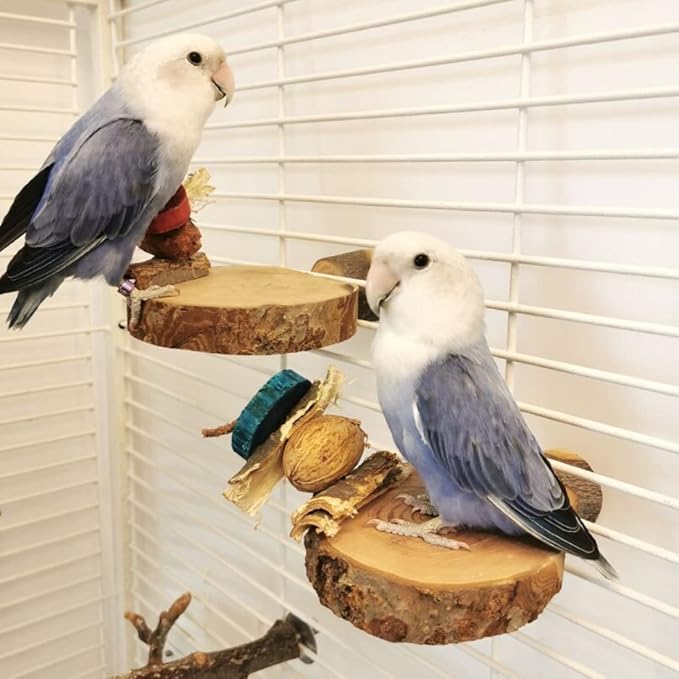 2PCS Natural Wood Perch Stand with Chewing Toy for Small Medium Pet Bird Parrot Budgie Parakeet Cockatiel Conure Lovebird Finch Canary Hamster Gerbil Rat Chinchilla Squirrel Cage Platform (Small)