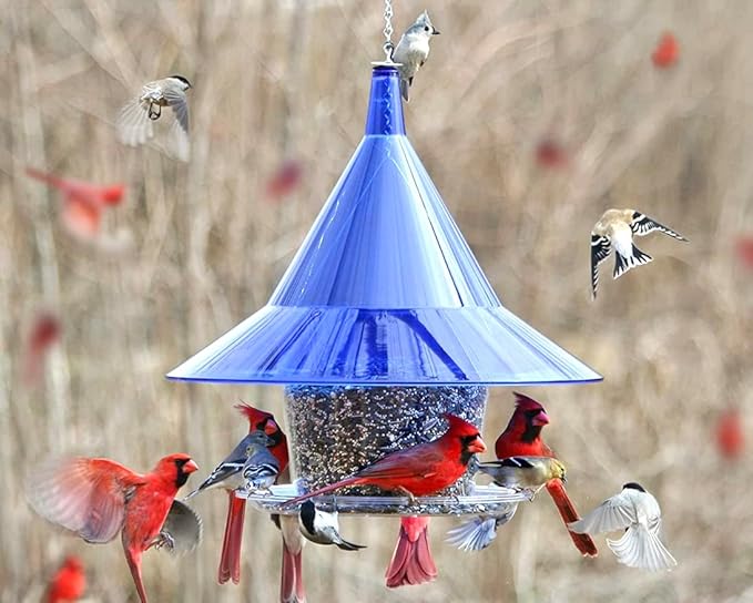 Sky Cafe - Squirrel Proof Bird Feeder for Outside - Large, 17 in. Diameter, 1.5 Gallon Birdseed Capacity - Made in USA (Sapphire Blue) - Free Squirrel Mug
