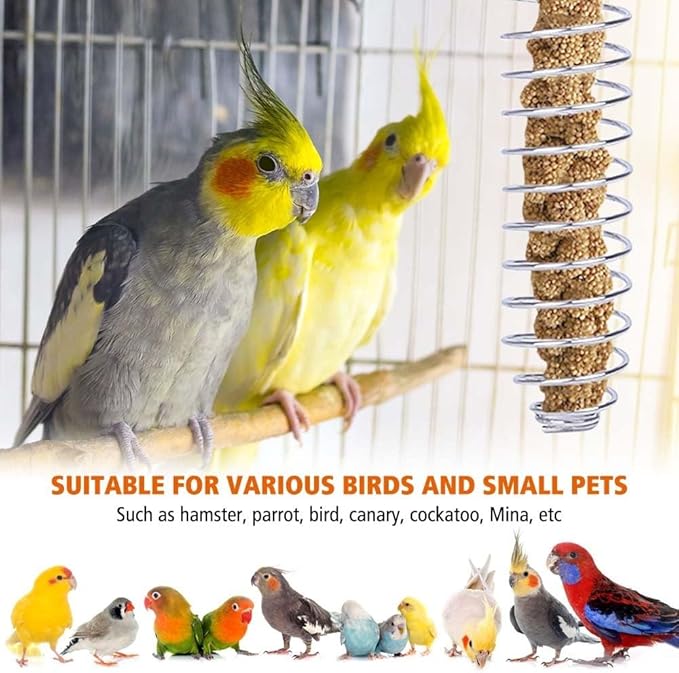 2PCS Bird Food Holders, Stainless Steel Parrot Feeder Basket Bite Resistant Bird Fruit Vegetable Skewer for Parrot Finch Canary Cockatoo