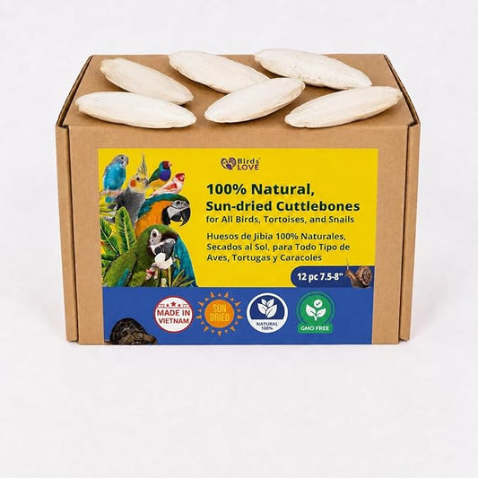 Birds LOVE 7.5-8" Cuttlebone for Birds – 100% Natural Sun-Dried Calcium Carbonate Mineral Supplement – for Parakeets, Budgies, Cockatiels, Finches & Canaries – 12 Pack with Holder – Made in Vietnam