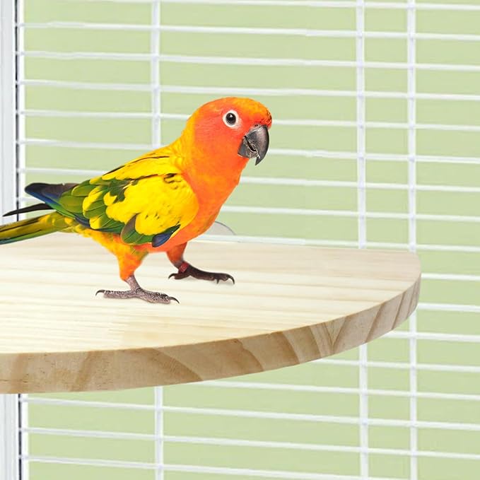 Bird Perches Platform Stand,Birds Platform for Cage,Wooden Perch Corner for Parrots,6.7 Inches Fan Shape Wooden Small Animals Cage Accessories