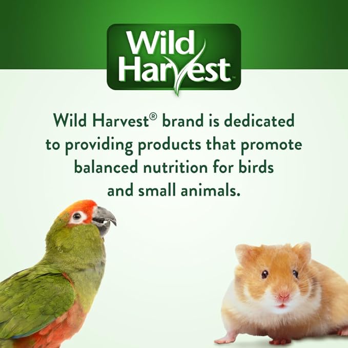 Wild Harvest Daily Blend for Parakeet, Canary, Finch & Small Birds, 2 Pounds (Pack of 4)