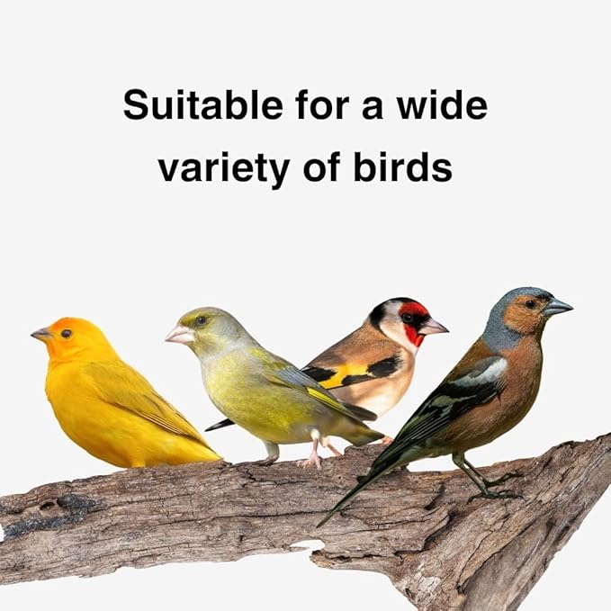 Raff SuperBo 5Lb Moist Bird Feed – Nutrient-Rich Soft Food for Granivorous Birds, Ideal for Canaries, Finches & Softbills, No Dore Formula, Supports Healthy Growth & Digestion