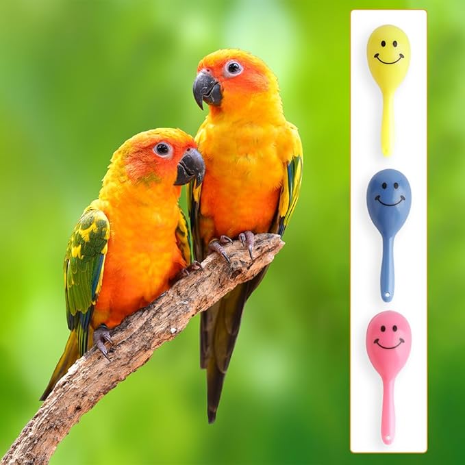 DQITJ 9 Pcs Colourful Mini Ball Sand Hammer Parrot Rattle Shaker Musical Sound Toy Intelligent Sand Hammer Foot Toy for Bird Parrot Cockatiel Conure Lovebird Parakeet Canary (Colors May Vary)