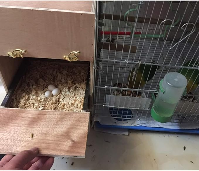 Bird Breeding Box Parakeet Perch Nest Box Budgie Cage Wood Breeding House Lovebirds Parrotlets Mating Box for Parrot Budgie Lovebird Finch Parrotlet(Right,12 Inch)