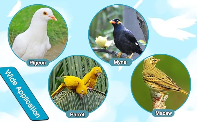10 Pcs Bird Drinker Feeder Plastic Soda Pop Water Bottle Cup Pigeon Water Bottle Feeder for Cage for Chicken Pigeons Birds (Plastics, 10pcs)