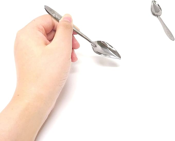 Honbay 4PCS Stainless Steel Bird Feeder Spoons Parrot Feeding Scoops Hand Feeding Spoons for Parrot