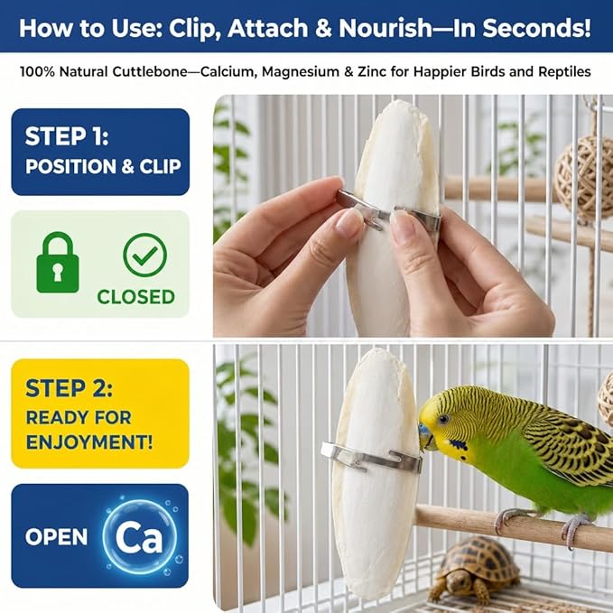 Birds LOVE 5.5-6″ Cuttlebone for Birds – 100% Natural Sun-Dried Calcium & Beak Conditioning Supplement for Parakeets, Budgies, Cockatiels, Finches & Canaries – 6 Pack with Holder – Made in Vietnam