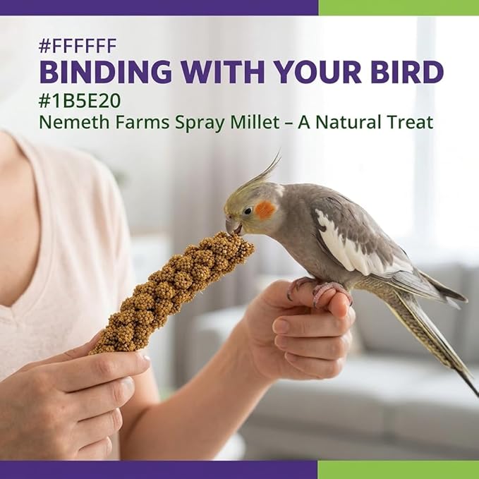 Nemeth Farms Spray Millet for Birds - Natural Non-GMO Millet Treat for Parakeets, Cockatiels & Parrots - 25 lb