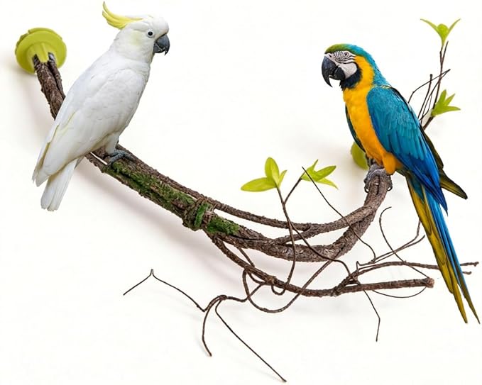 Large Natural Bird Perch for Cage, Bendable Tree Branch Parrot Perch Stand with Leaf Design, Bird Cage Accessories for Macaw, African Grey Parrot, Cockatiel, Cockatoo (Large)