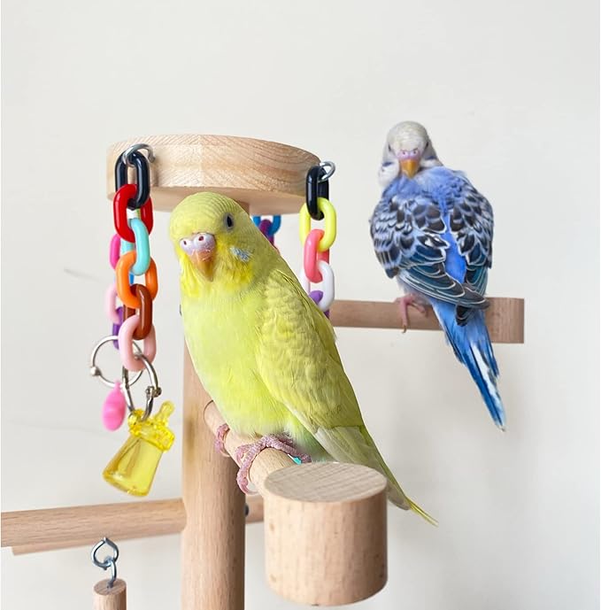 Wood Bird Playground Tabletop Parrots Playgyms Conures Play Stands Perches Prakeets Chewing Climbing Toy Playpen Platform Ladder Swing Activity Center for Cockatiels Budgies Lovebirds