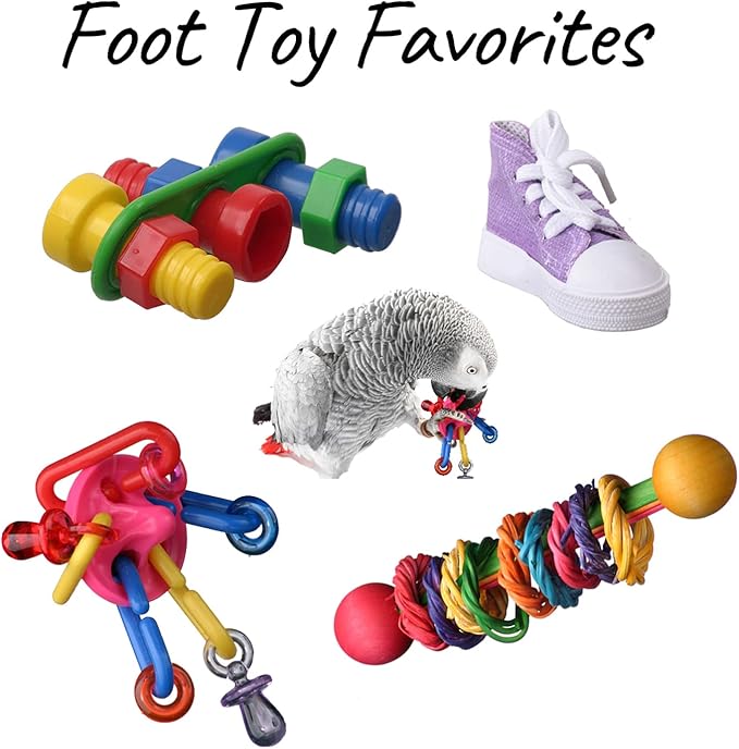 Super Bird Creations SB50013 Favorite Bird Foot Toys Assortment - Engaging Variety Pack for Medium to Large Birds - Ringnecks Quakers Parros - Stimulating Foot Exercise & Satisfies Foraging Behavior