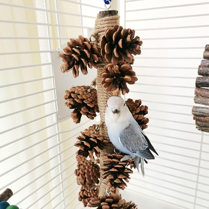 Parrot Toys Natural Pine Cones Bird Chew Toys Hanging Chewing Sticks Toys Bird Cage Toys for Conures Parakeets Cockatoo Cockatiel (with 8 Pinecones)